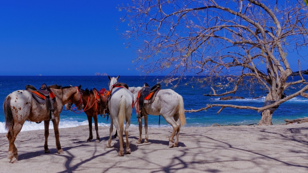 06 - Playa Concha (15).jpg